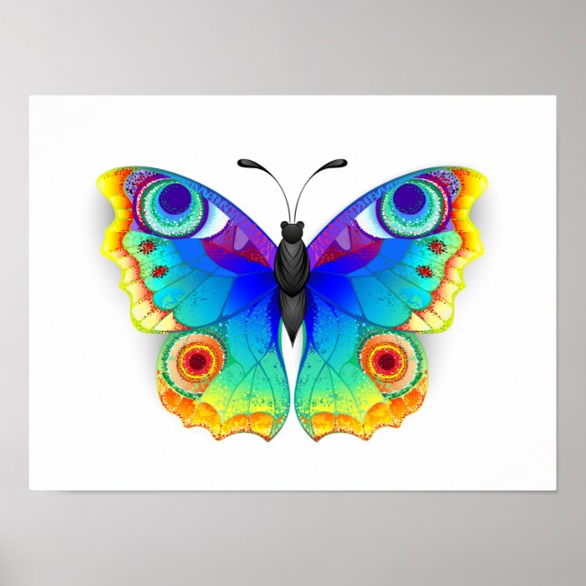 Rainbow Butterfly Peacock Öga Poster (Framsidan)