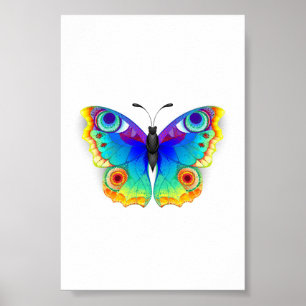Rainbow Butterfly Peacock Öga Poster