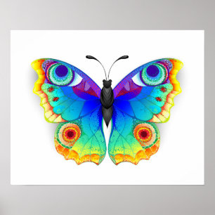 Rainbow Butterfly Peacock Öga Poster