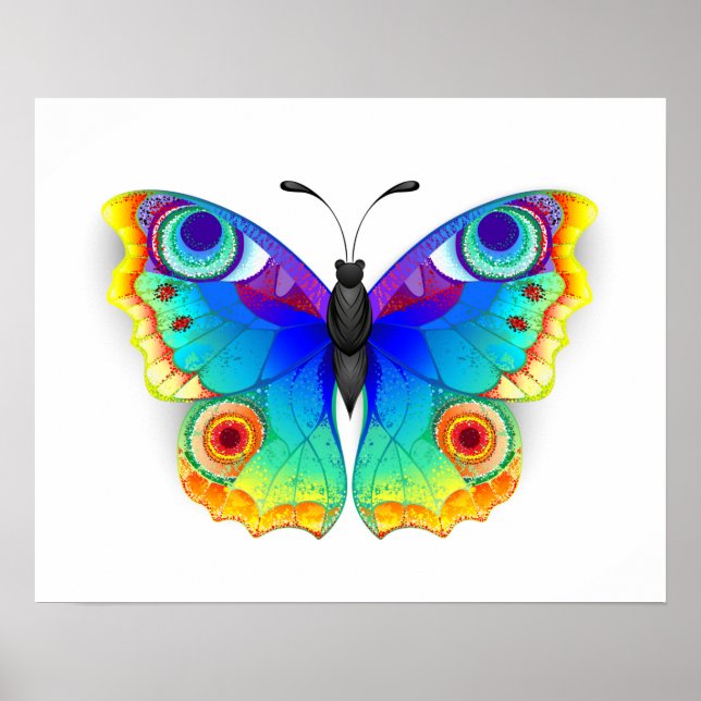 Rainbow Butterfly Peacock Öga Poster (Framsidan)