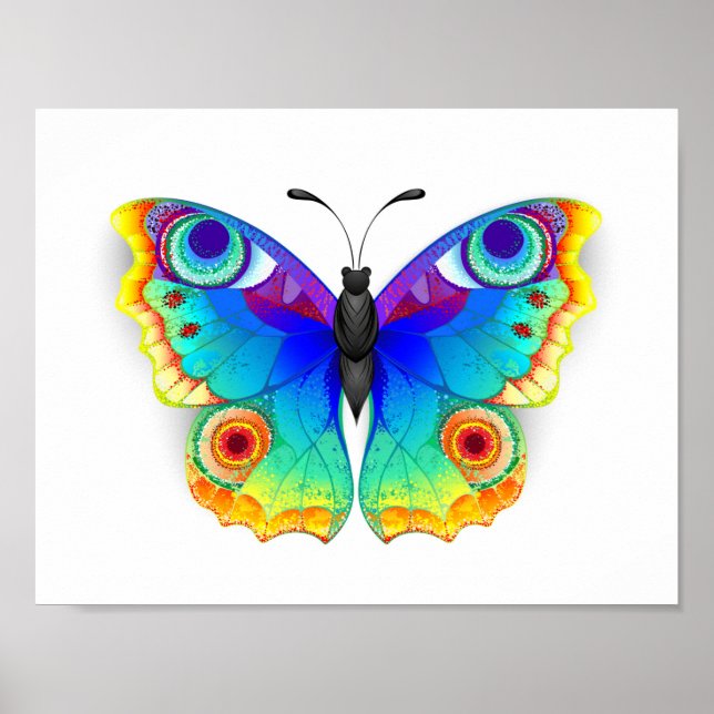 Rainbow Butterfly Peacock Öga Poster (Framsidan)