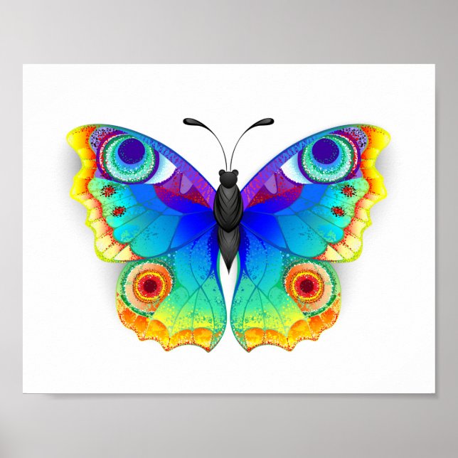 Rainbow Butterfly Peacock Öga Poster (Framsidan)