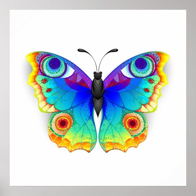 Rainbow Butterfly Peacock Öga Poster (Framsidan)