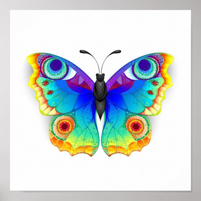 Rainbow Butterfly Peacock Öga Poster (Framsidan)