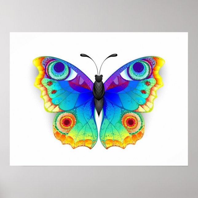 Rainbow Butterfly Peacock Öga Poster (Framsidan)