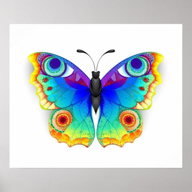 Rainbow Butterfly Peacock Öga Poster (Framsidan)