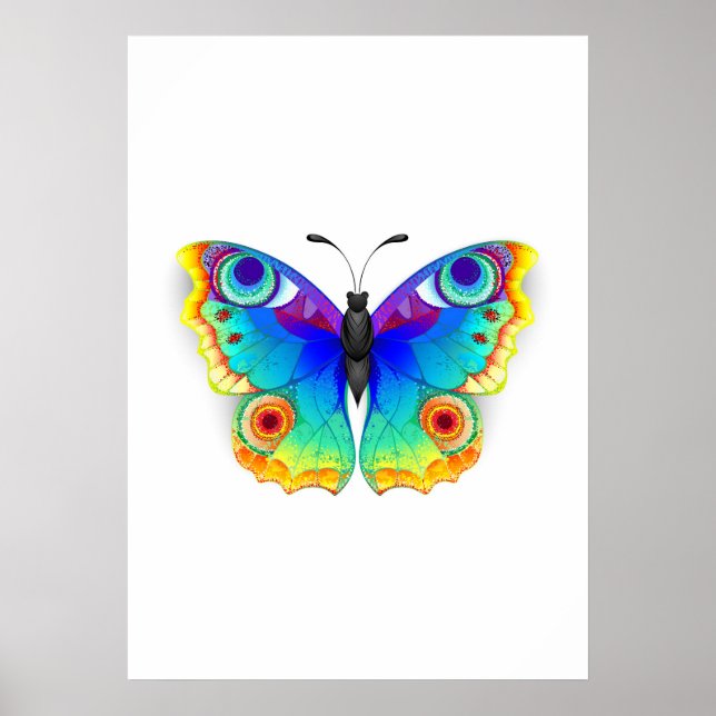 Rainbow Butterfly Peacock Öga Poster (Framsidan)