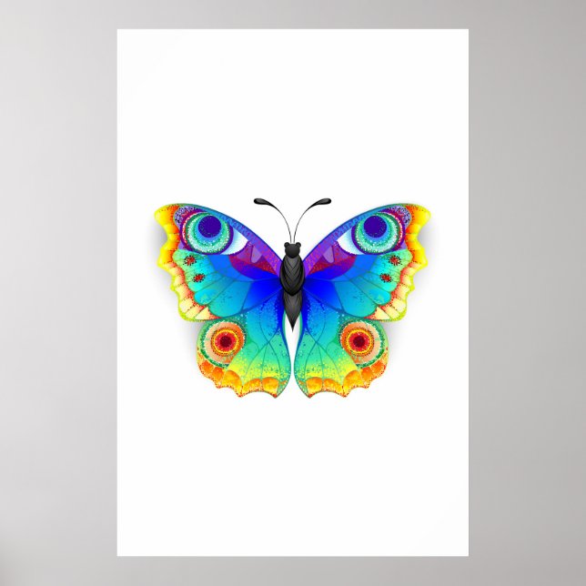 Rainbow Butterfly Peacock Öga Poster (Framsidan)