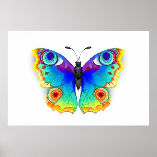 Rainbow Butterfly Peacock Öga Poster