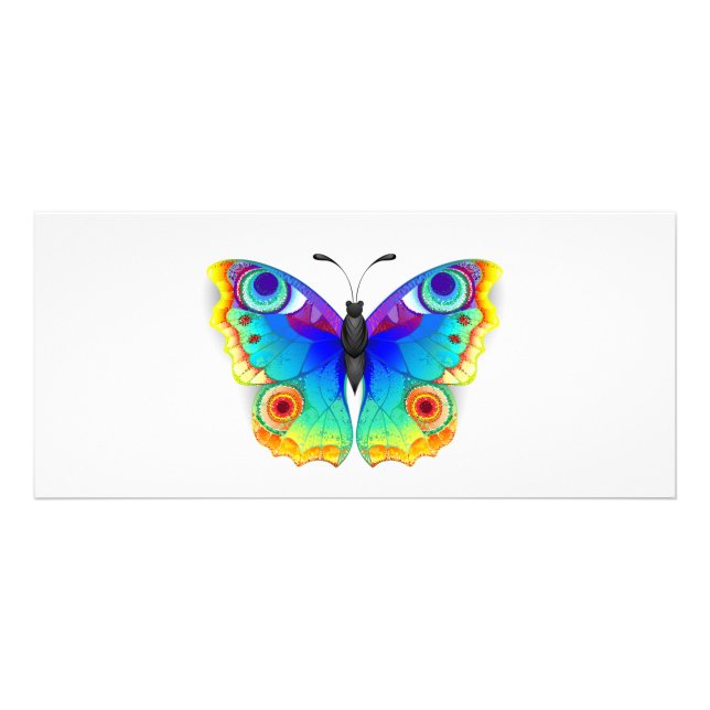 Rainbow Butterfly Peacock Öga Reklamkort (Framsidan)