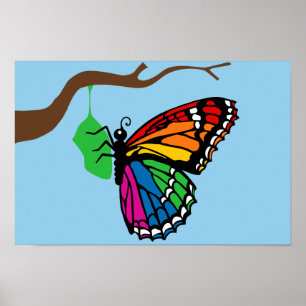 Rainbow Butterfly som kommer från Chrysalis Poster