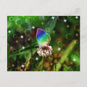 Rainbow Butterfly Vykort