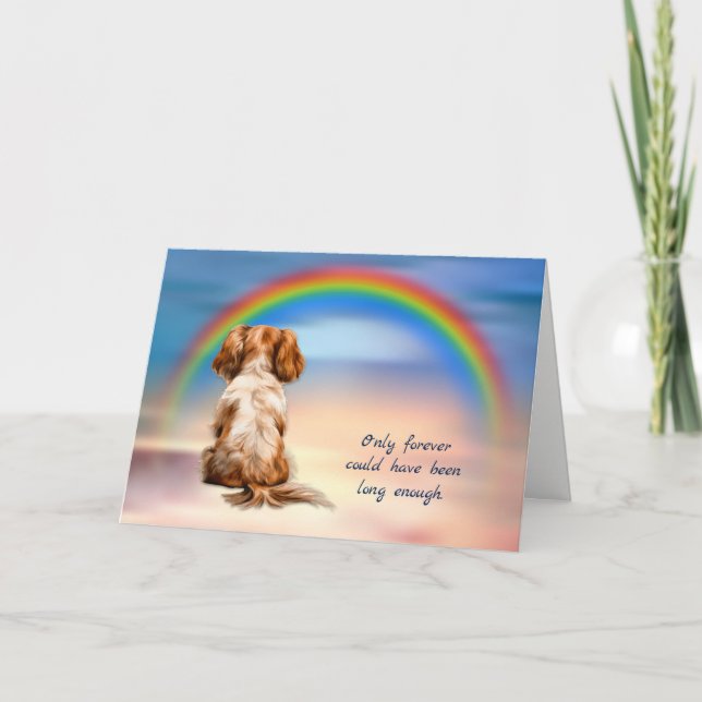 Rainbow Cavalier Kung Charles Spain Sympathy Helgkort (Framsida)