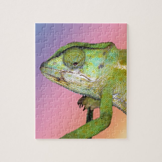 Rainbow chameleon pussel (Vertikal)
