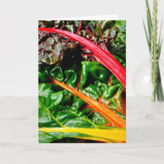 Rainbow Chard Kort