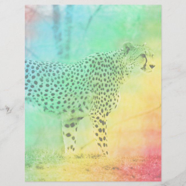 Rainbow Cheetah (Framsida)