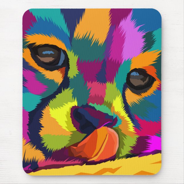 Rainbow Cheetah Musmatta (Framsidan)