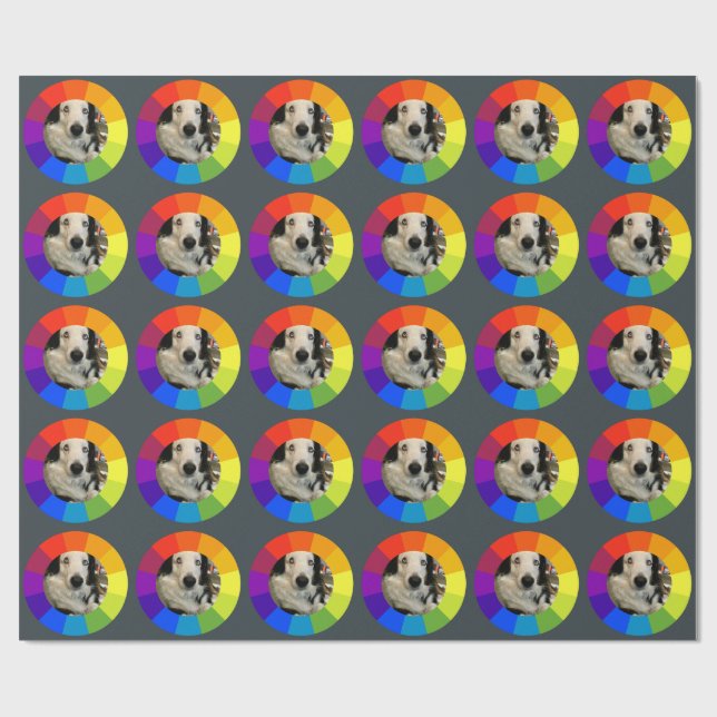 Rainbow Color Wheel Presentpapper (Platt)