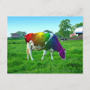 Rainbow Cow Vykort