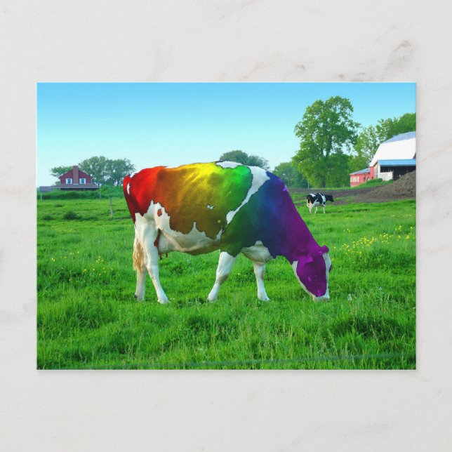 Rainbow Cow Vykort (Framsida)