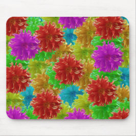 Rainbow Dahlia Flower Explosion Musmatta