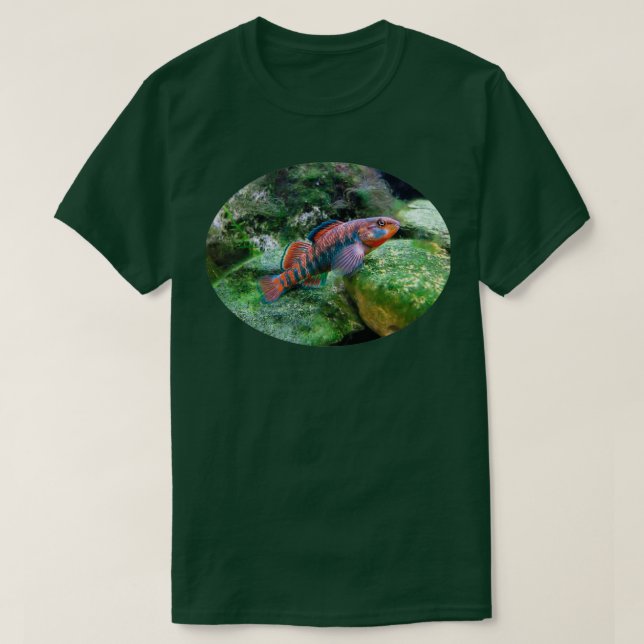 Rainbow Darter T Shirt (Design framsida)
