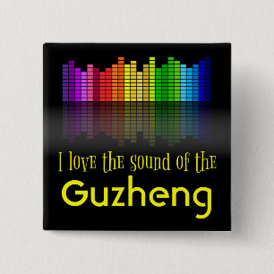 Rainbow Digital Ljud Equalizer Guzheng Knapp