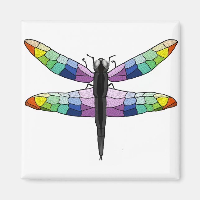 Rainbow Dragonfly magnet (Framsidan)