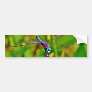 Rainbow Dragonfly och blomma Bildekal