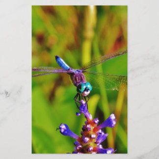 Rainbow Dragonfly och blomma Brevpapper
