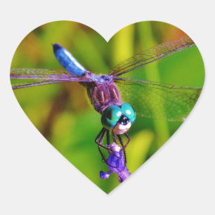 Rainbow Dragonfly och blomma Hjärtformat Klistermärke