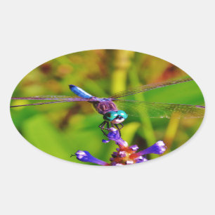 Rainbow Dragonfly och blomma Ovalt Klistermärke