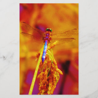 Rainbow Dragonfly på gult och fuschia Brevpapper