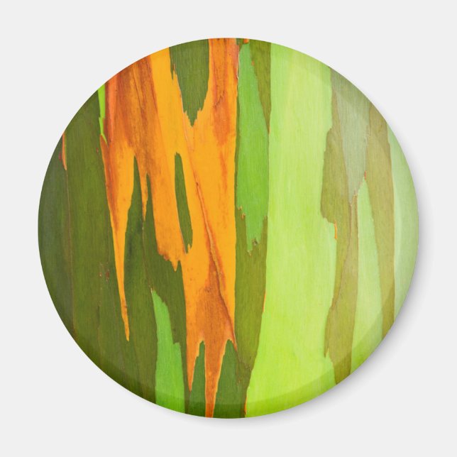 Rainbow Eucalyptus bark, Hawaii Magnet (Framsidan)