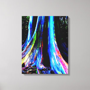 RAINBOW EUCALYPTUS TRÄD canvas