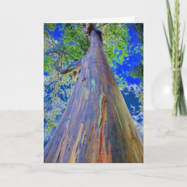 Rainbow Eucalyptus Träd Kort