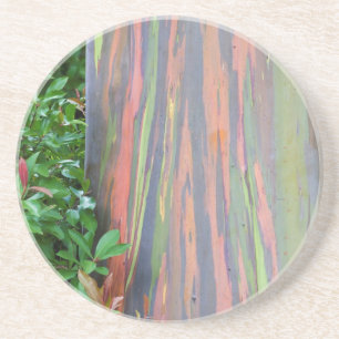 Rainbow Eucalyptus Träd Underlägg