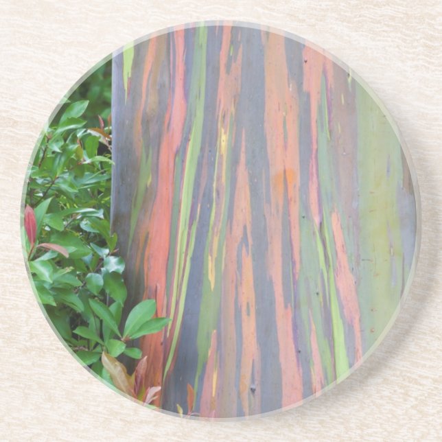 Rainbow Eucalyptus Träd Underlägg (Framsidan)