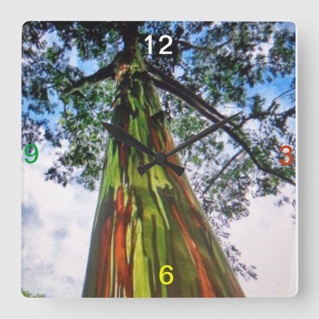 Rainbow Eucalyptus Träd Wall Clock Fyrkantig Klocka (Framsida)