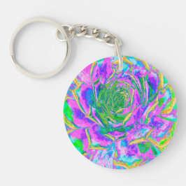 Rainbow Färg Fiesta Succulent Sedum Rosette