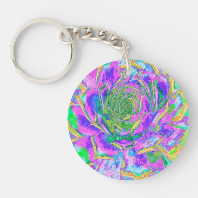 Rainbow Färg Fiesta Succulent Sedum Rosette (Framsidan)