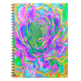 Rainbow Färg Fiesta Succulent Sedum Rosette Anteckningsbok