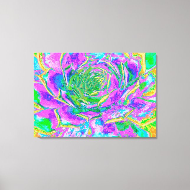 Rainbow Färg Fiesta Succulent Sedum Rosette Canvastryck (Framsida)