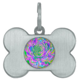 Rainbow Färg Fiesta Succulent Sedum Rosette ID-bricka Husdjur