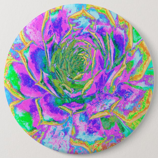 Rainbow Färg Fiesta Succulent Sedum Rosette Knapp (Framsida)