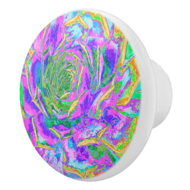 Rainbow Färg Fiesta Succulent Sedum Rosette Knopp (Höger)