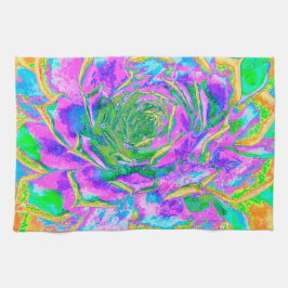 Rainbow Färg Fiesta Succulent Sedum Rosette Kökshandduk