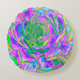 Rainbow Färg Fiesta Succulent Sedum Rosette Rund Kudde