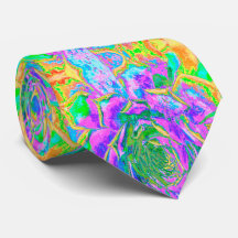 Rainbow Färg Fiesta Succulent Sedum Rosette