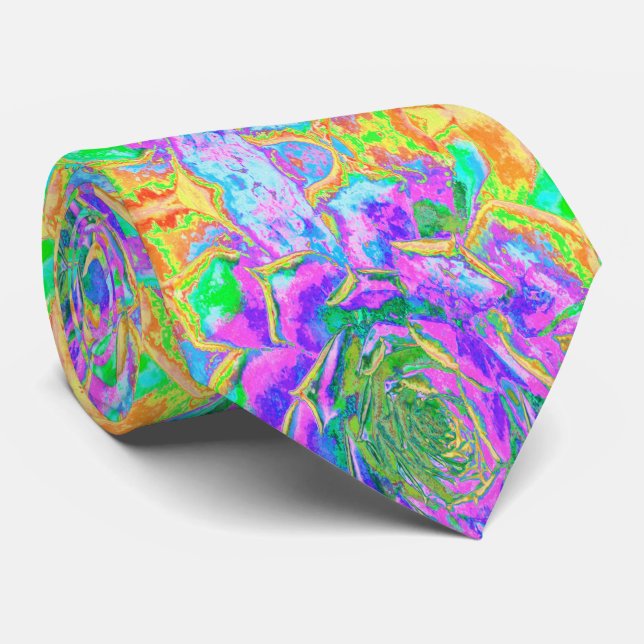 Rainbow Färg Fiesta Succulent Sedum Rosette Slips (Rullad)